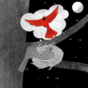 Read more about the article How Do You Know What A Bird Dreams About?