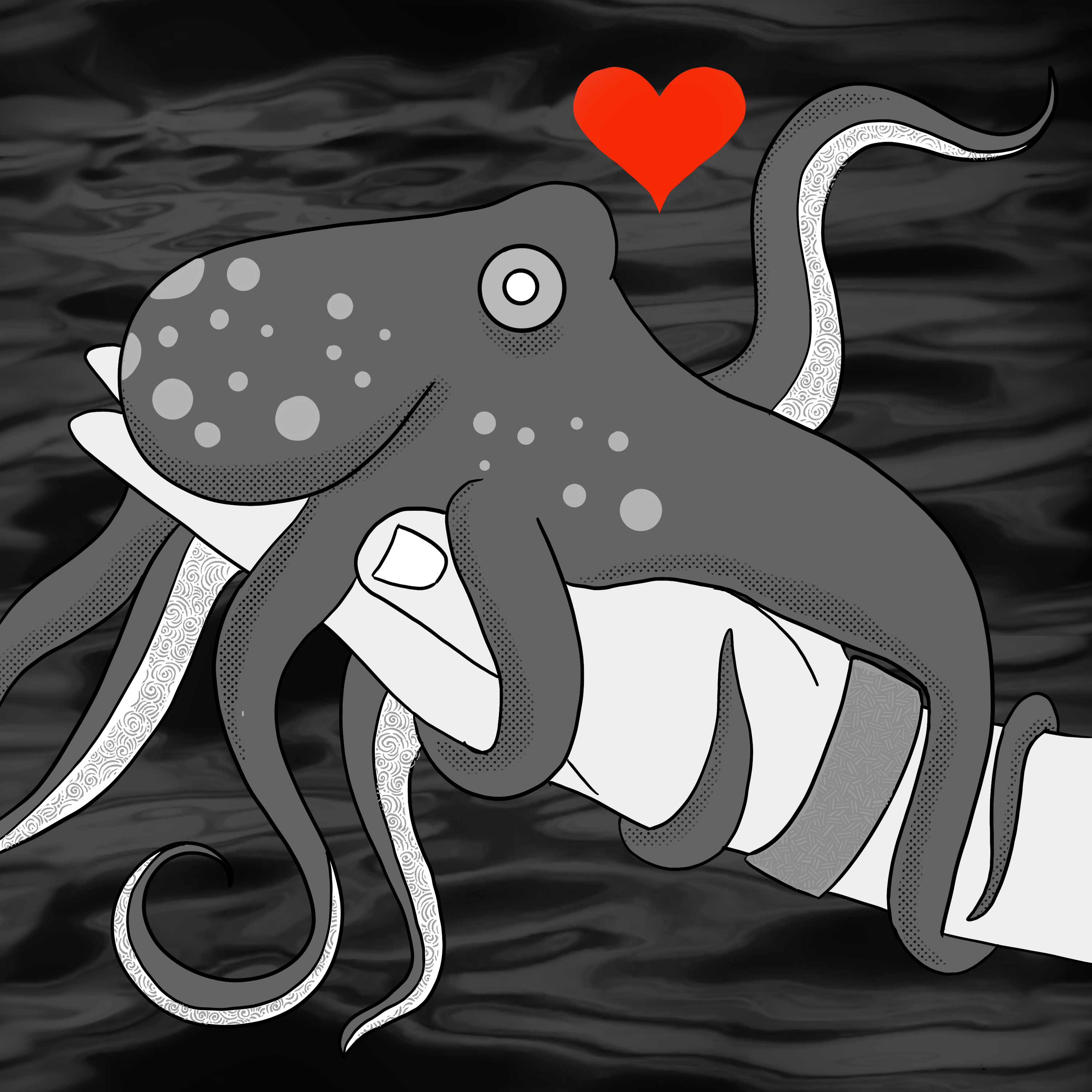 Read more about the article How to Fall in Love With an Octopus