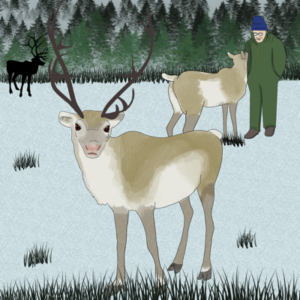 Read more about the article The Astonishing Truth About Rudolph’s Nose and More